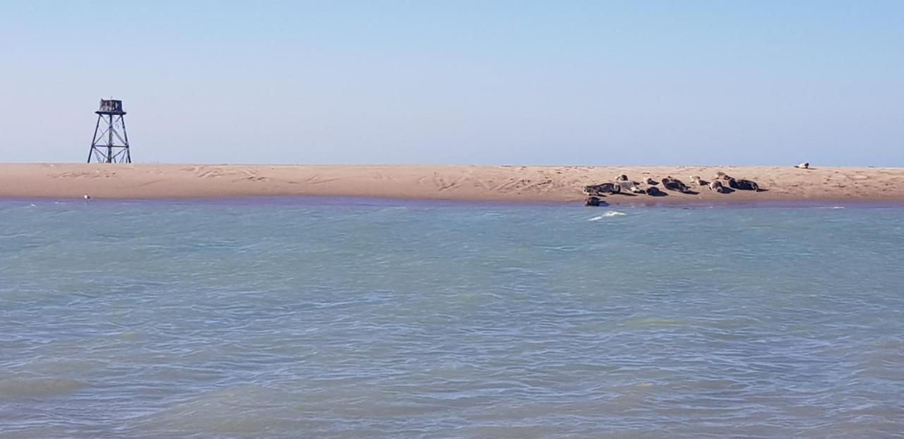 לינה וארוחת בוקר Oye-Plage L Hyppo Camp' מראה חיצוני תמונה